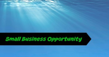 Reiko Wireless Business Opportunity